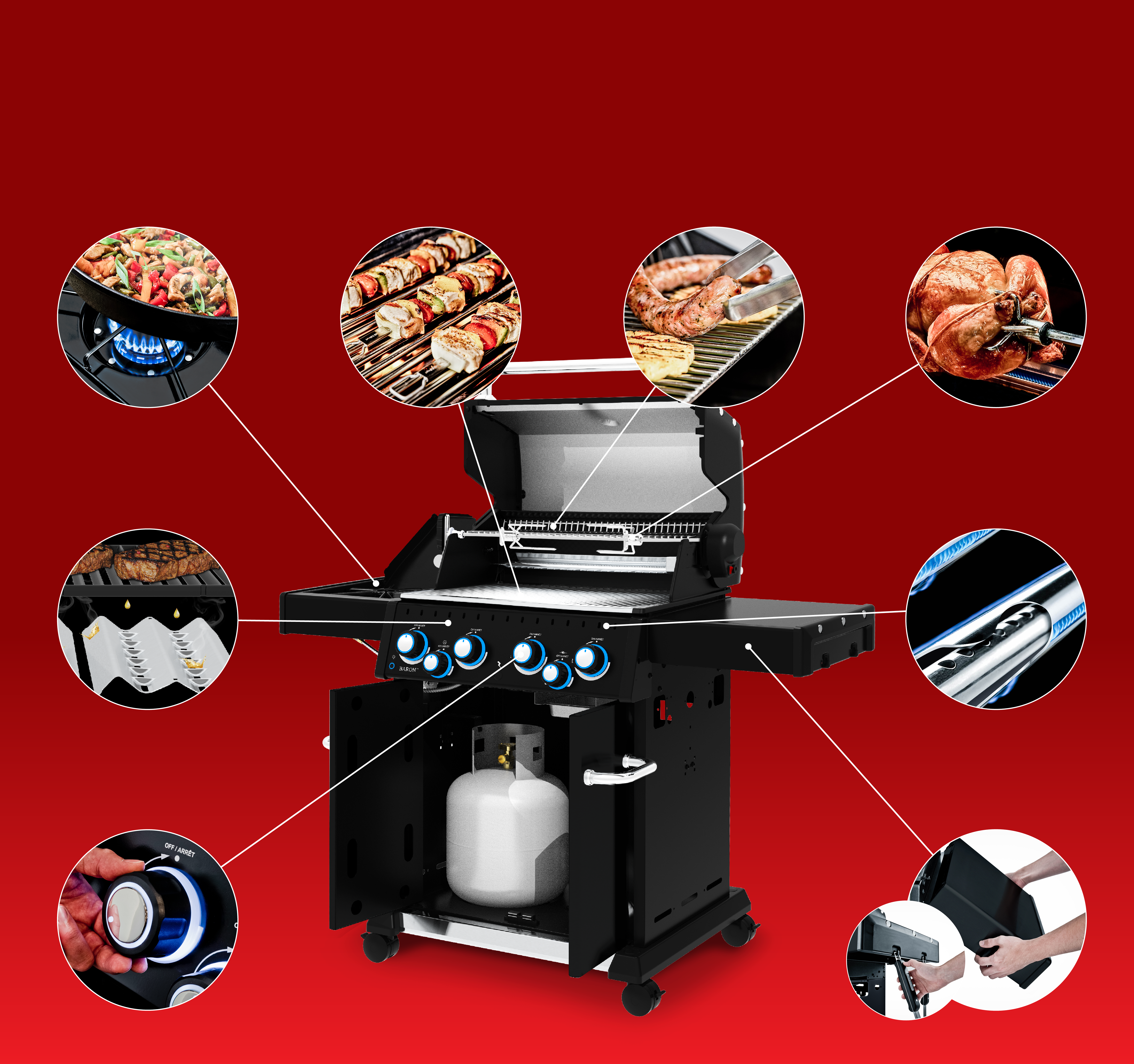 Grill Anatomy Image